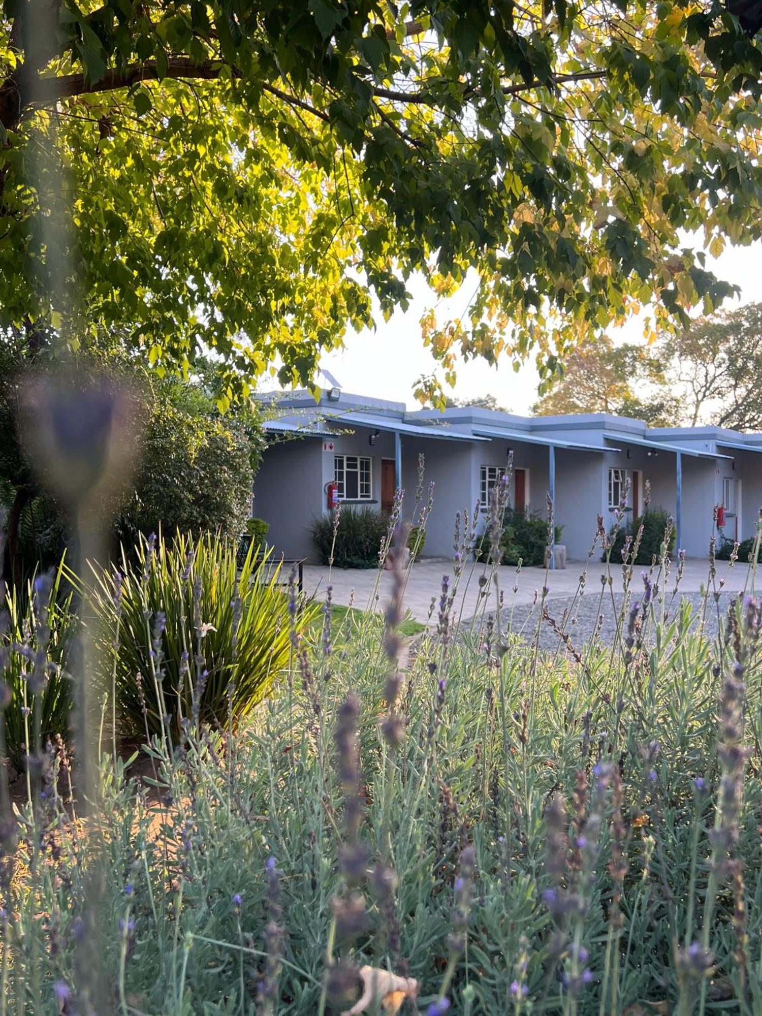 Patterson B&B Нюкасъл Екстериор снимка